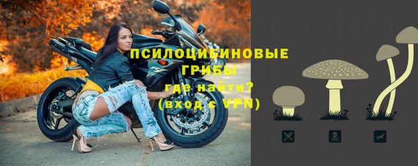 mdpv Карпинск
