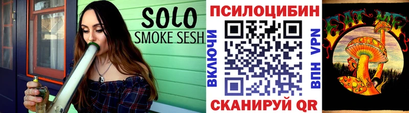 Псилоцибиновые грибы GOLDEN TEACHER Купить где Чернушка